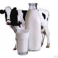 Молоко коровье сырое