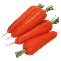 Морковь красная