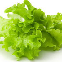 Салат зелёный